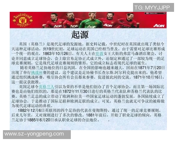 防暴足球的兴起与发展对现代体育安全的影响与启示