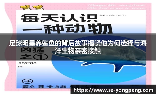 足球明星养鲨鱼的背后故事揭晓他为何选择与海洋生物亲密接触